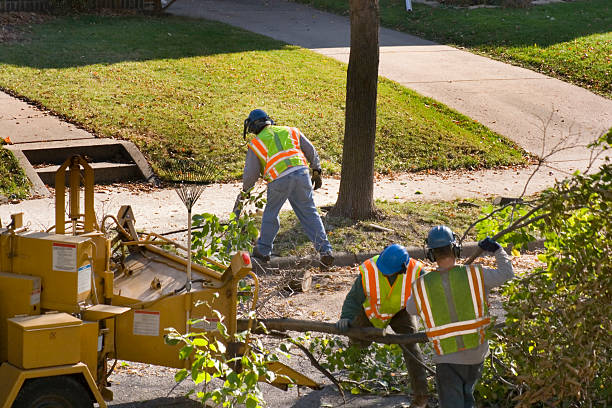 Best Seasonal Cleanup (Spring/Fall)  in Skyline, AL